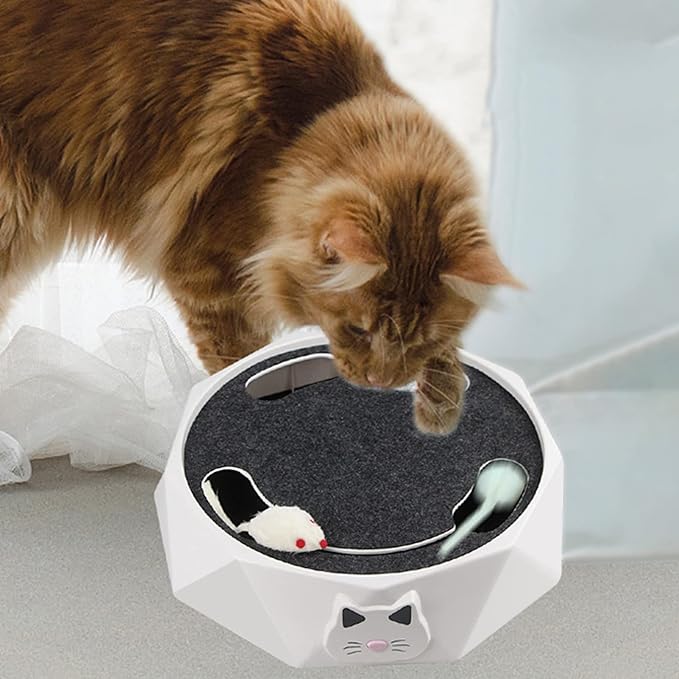 CatSpin™: TOCADISCOS PARA GATO ELECTRICO